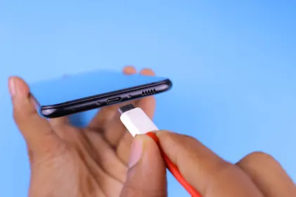 Казино Догс Форчън Мобилно приложение